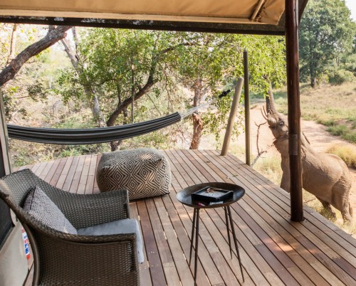 Garonga Safari Camp