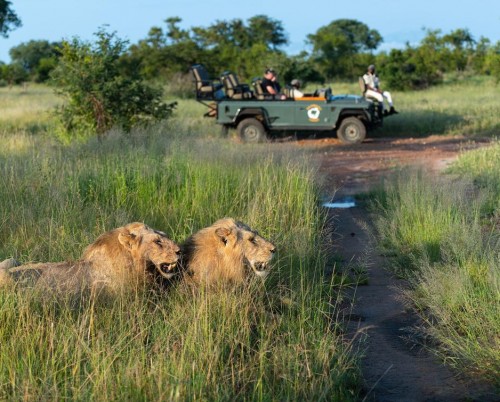 Kambaku Safari Lodge