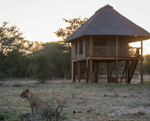 NThambo Tree Camp