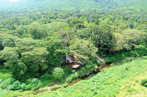 Kitich Forest Camp