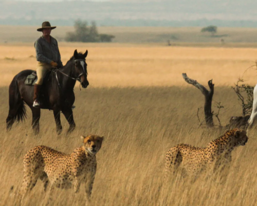 Ol Donyo Lodge