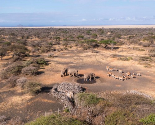 Ol Donyo Lodge