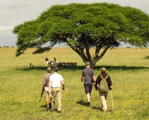 Ol Donyo Lodge