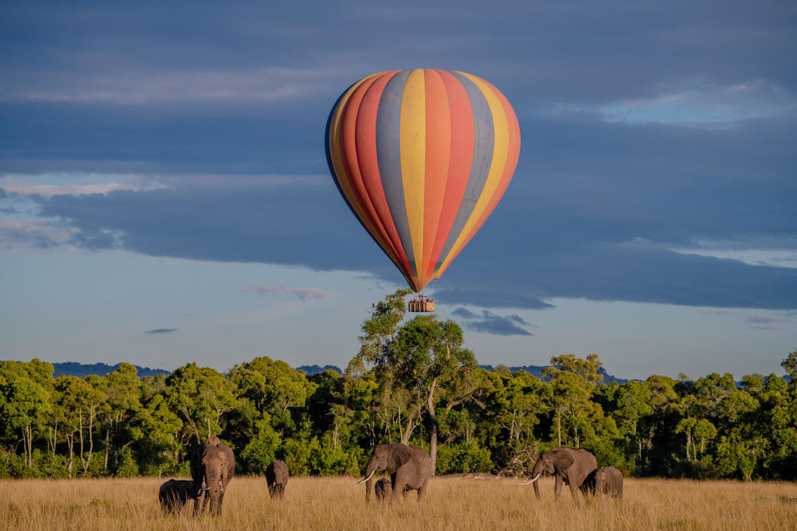 Balloon safari